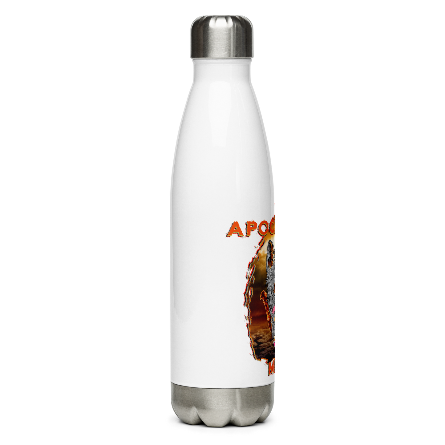 Stainless Steel Water Bottle